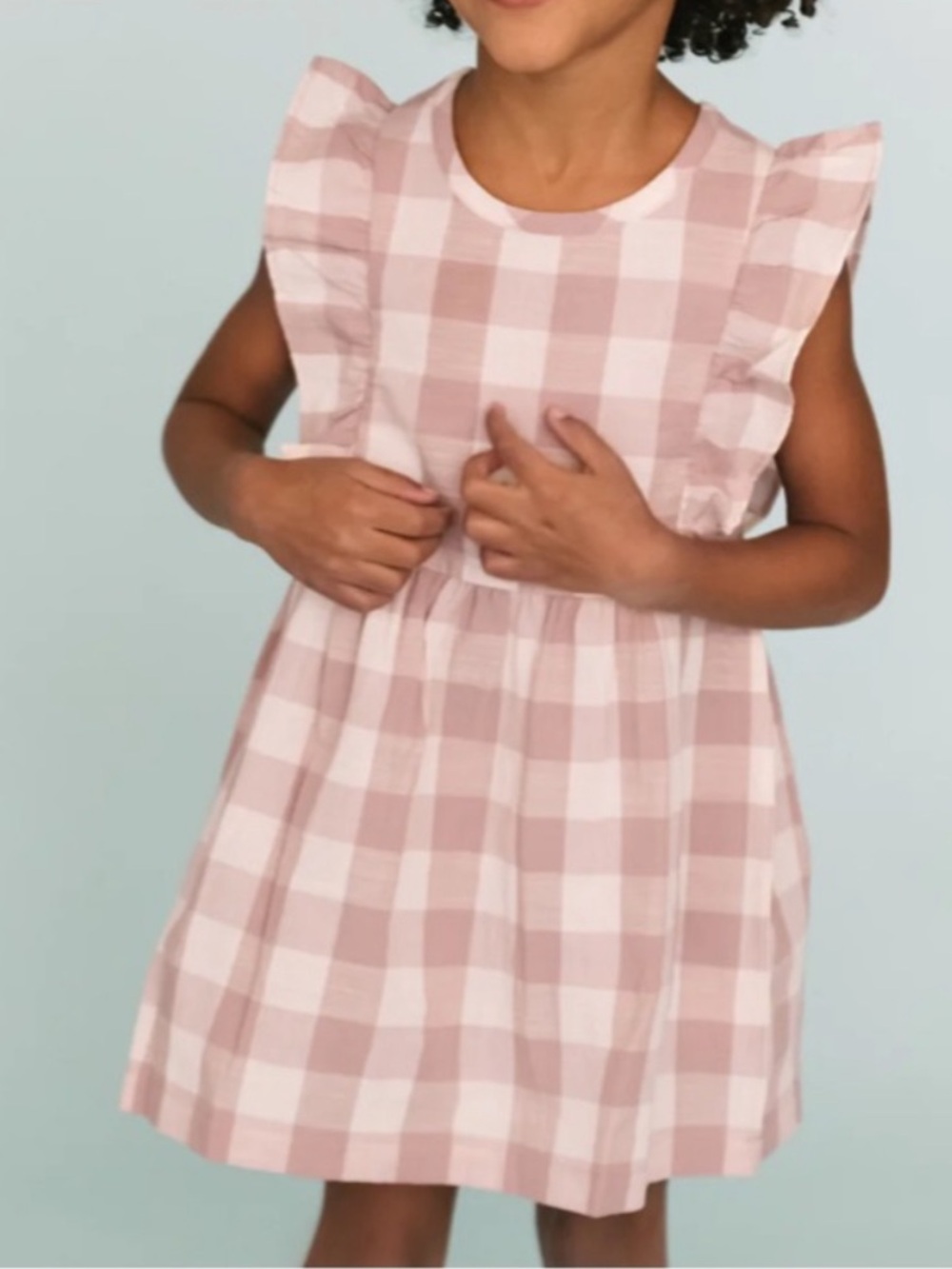 Pehr Pink Check Ruffle Sleeve Dress, size 2T - Picture 4 of 6